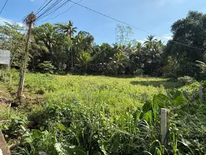 Prime Land for Sale – Bulathsinhala, Horana Main Road