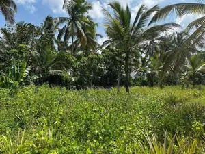 ගම්පහ – හේනේගම (ගඩුමන) වටිනා ඉඩමක් විකිණීමට / UP 13710