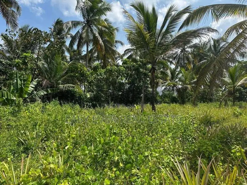 ගම්පහ – හේනේගම (ගඩුමන) වටිනා ඉඩමක් විකිණීමට / UP 13710