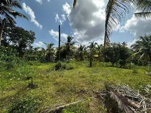ගම්පහ – හේනේගම (ගඩුමන) වටිනා ඉඩමක් විකිණීමට / UP 13710