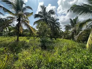 ගම්පහ – හේනේගම (ගඩුමන) වටිනා ඉඩමක් විකිණීමට / UP 13710