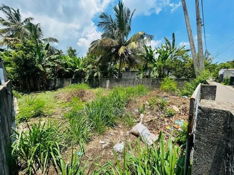 Wattala – Prime Main Road Facing Land for Sale