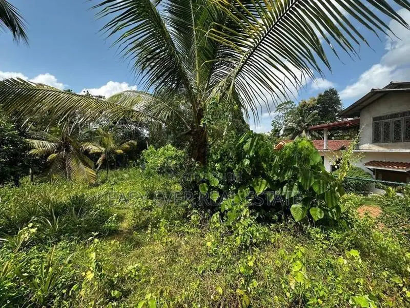 ගම්පහ – හේනේගම (ගඩුමන) වටිනා ඉඩමක් විකිණීමට / UP 13710