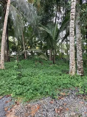 Prime 57-Perch Commercial Land for Sale in Pokunuwita, Horana