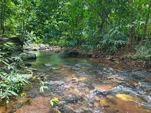 කොටියාකුඹුරින් අක්කර 2.5ක අංගසම්පූර්ණ දෙමහල් නිවසක් /SA 12827