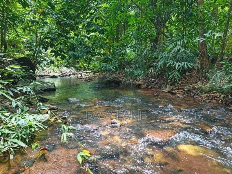 කොටියාකුඹුරින් අක්කර 2.5ක අංගසම්පූර්ණ දෙමහල් නිවසක් /SA 12827