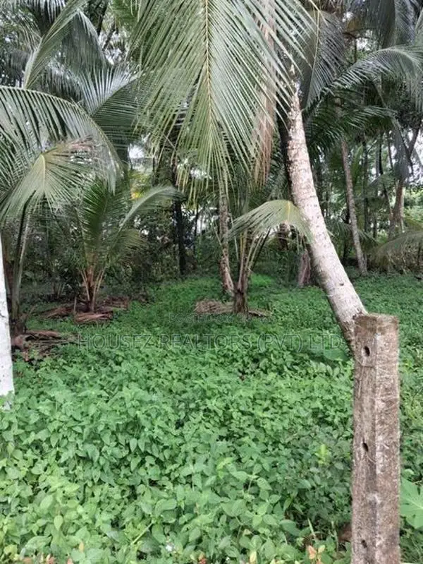 Prime 57-Perch Commercial Land for Sale in Pokunuwita, Horana