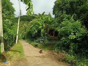 ඉඩමක් සමඟ නිවසක් විකිනීමට මාතලේ