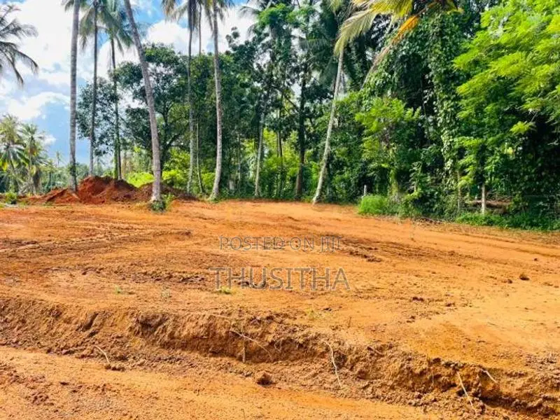 Yakkala නගරයට ආසන්නයෙන් සියලු පහසුකම් සහිත වටිනා ඉඩමක්