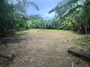 කැළණි පුදබිම පෙනෙන මානයේ ඉඩමක්