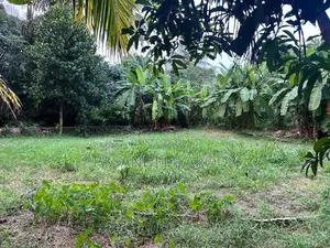 කැළණි පුදබිම පෙනෙන මානයේ ඉඩමක්