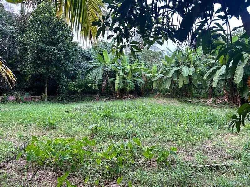 කැළණි පුදබිම පෙනෙන මානයේ ඉඩමක්