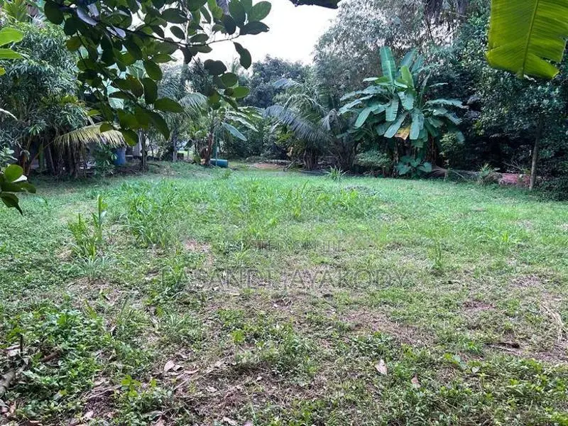 කැළණි පුදබිම පෙනෙන මානයේ ඉඩමක්