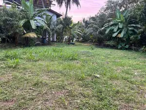 කැළණි පුදබිම පෙනෙන මානයේ ඉඩමක්