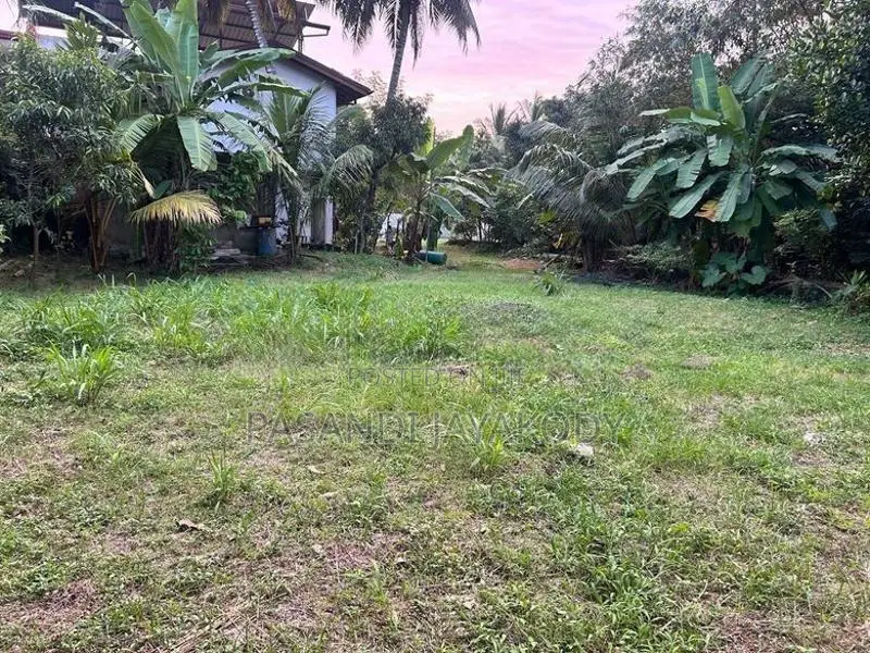 කැළණි පුදබිම පෙනෙන මානයේ ඉඩමක්
