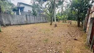 Kiribathgoda Makola Valuable Land For Sale