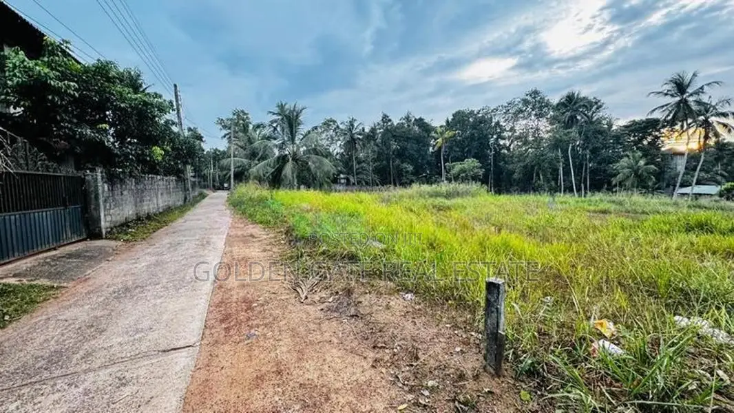 Kalagedihena Veyangoda Land For Sale