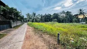 Kalagedihena Veyangoda Land For Sale