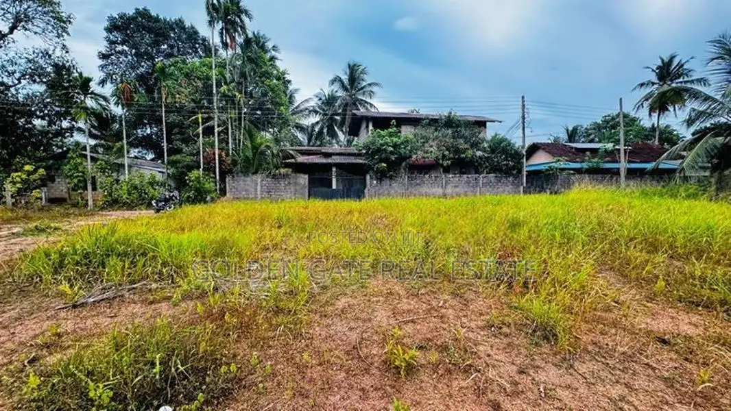 Kalagedihena Veyangoda Land For Sale