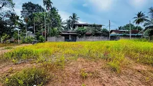 Kalagedihena Veyangoda Land For Sale