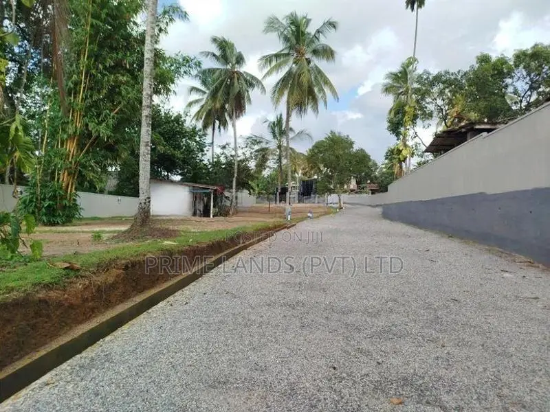 හෝමාගම බිම් කොටස් විකිණීමට