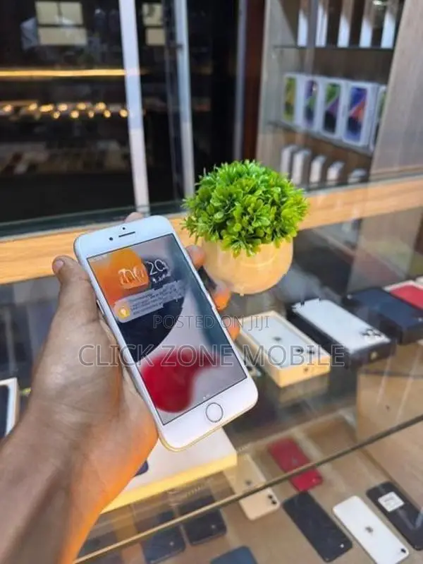 Apple iPhone 7 128GB (Used)
