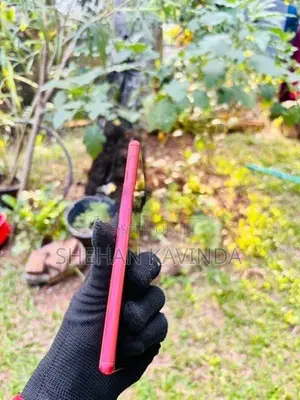 Sony Xperia 8 (Used)