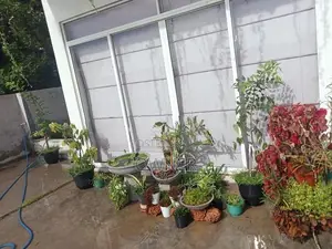 1st Floor House Rent with Furniture