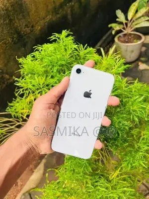 Apple iPhone 8 (Used)