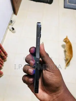 Apple iPhone 12 Pro 256GB (Used)