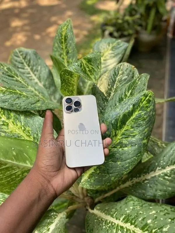 Apple iPhone 13 Pro (Used)