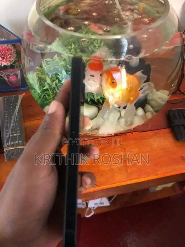 Apple iPhone 13 (Used)