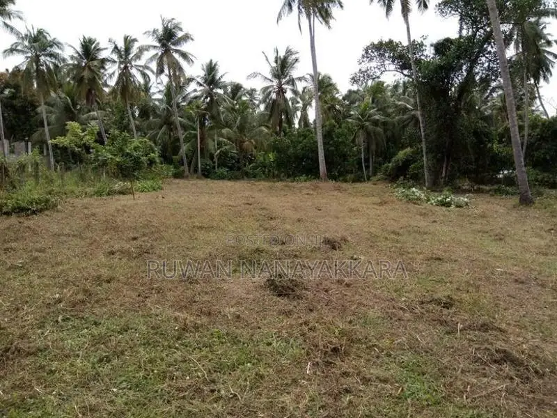Land with Small Building for Rent Kandawala