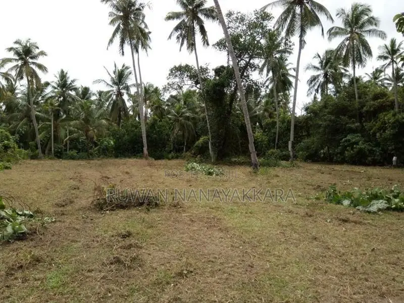 Land with Small Building for Rent Kandawala