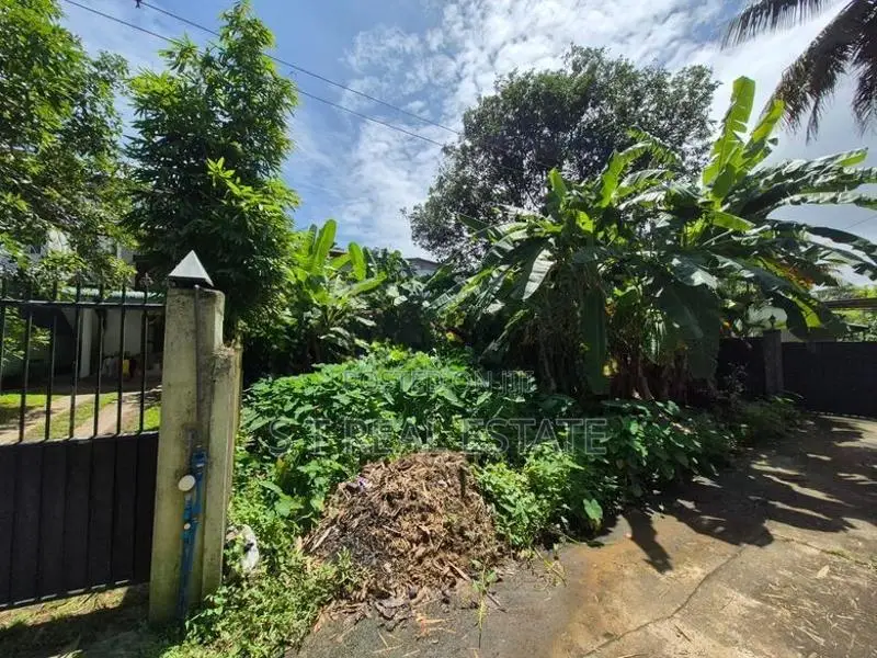 6P Commercial Bare Land For Sale In Thalawathugoda