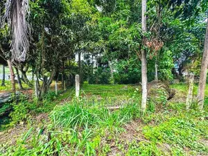 Mountain View Lakefront Land for Sale in Kurunegala Ibbagamuwa