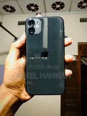 Apple iPhone 11 (Used)