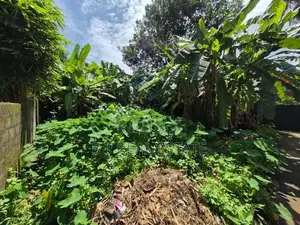 6P Commercial Bare Land For Sale In Thalawathugoda