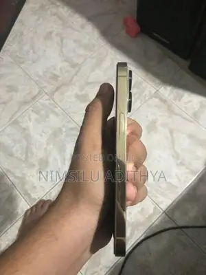 Apple iPhone 13 Pro (Used)