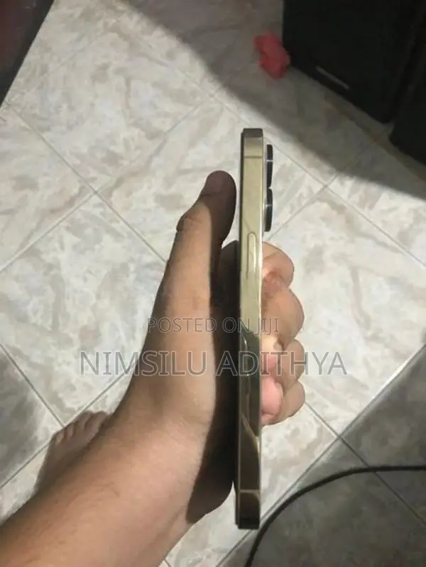 Apple iPhone 13 Pro (Used)