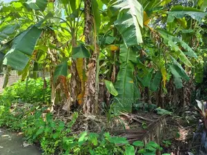 6P Commercial Bare Land For Sale In Thalawathugoda