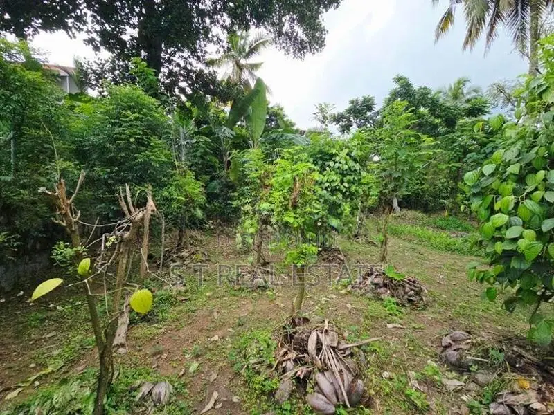 10P High Residential Bare Land For Sale In Thalawathugoda