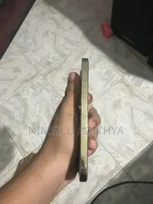 Apple iPhone 13 Pro (Used)