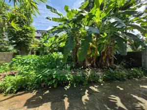 6P Commercial Bare Land For Sale In Thalawathugoda