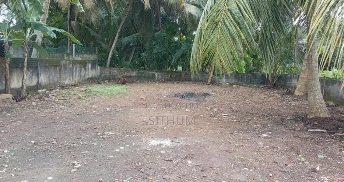 පර්චස් 15 ඉඩම බදු දීමට මොරටුව