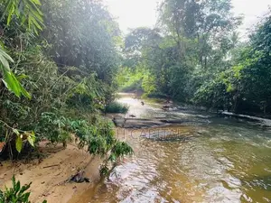 සුන්දර මාවක් ඔයට මායිම්ව විකිණිමට අගනා බිම් කොටස්