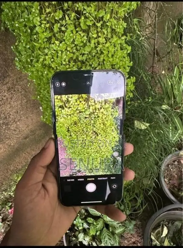 Apple iPhone 12 Pro Max (Used)