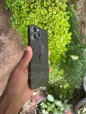 Apple iPhone 12 Pro Max (Used)