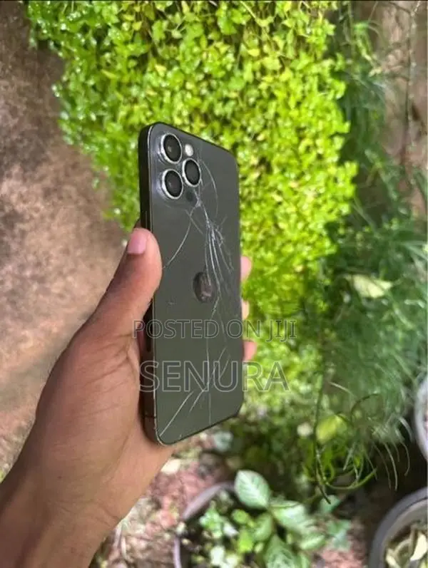 Apple iPhone 12 Pro Max (Used)
