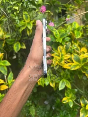 Apple iPhone 12 Pro Max (Used)